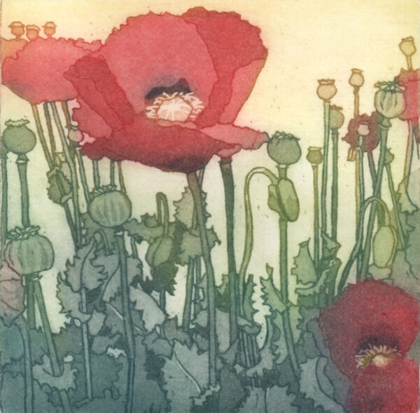 Poppies on a Grass Verge (TP1)