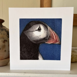 'Portrait of a Puffin' greetings card - NEW