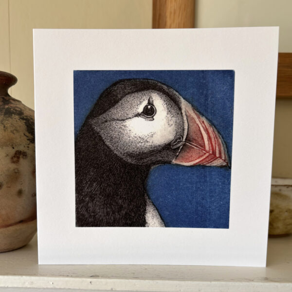 'Portrait of a Puffin' greetings card - NEW