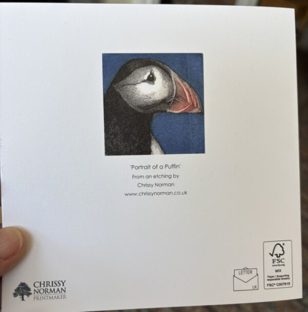 'Portrait of a Puffin' greetings card - NEW - Image 2