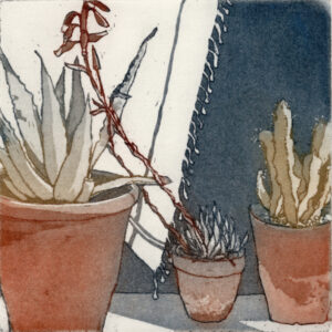 The Window Opposite (TP)