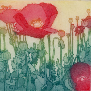 Poppies on a Grass Verge (TP)